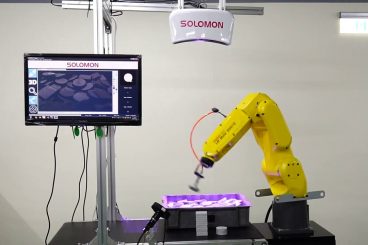 SOLOMON AccuPick Enabled FANUC Robot to Pick and Sort