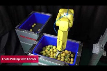 AccuPick Bin Fruit Picking for Food Industry