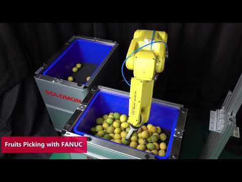 AccuPick Bin Fruit Picking for Food Industry