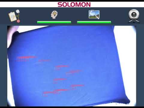 SOLOMON Machine Vision Identifies Fabric Blemishes 