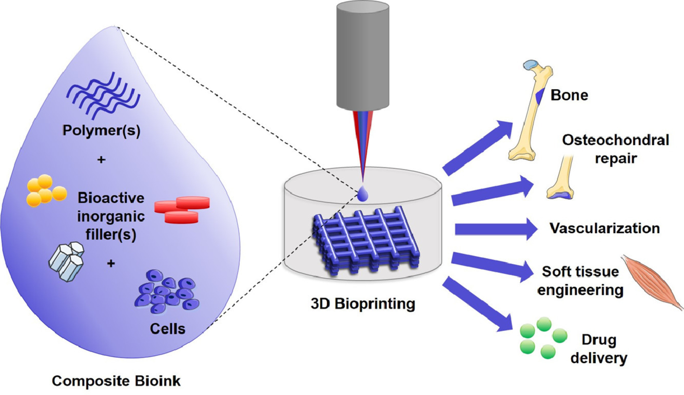 Advancing Bioinks For 3d Bioprinting Using Reactive Fillers A Review